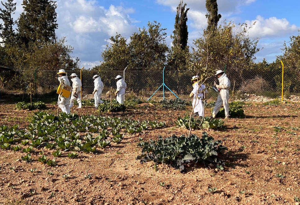 After finishing some work with the bees