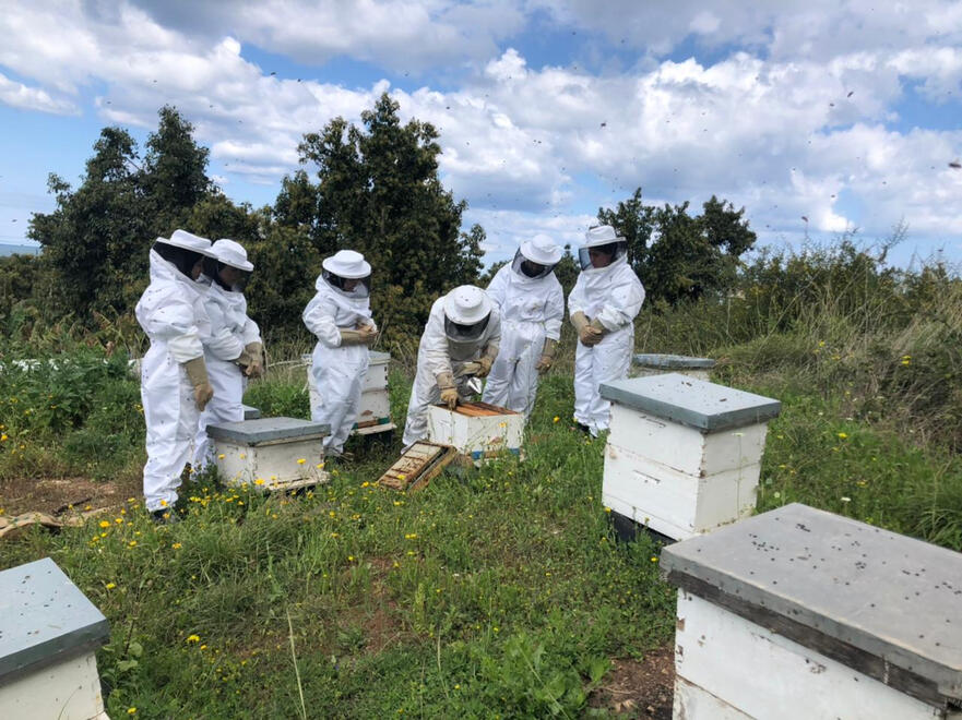 Beekeeper training before By Bee had secured INGO funding or land.