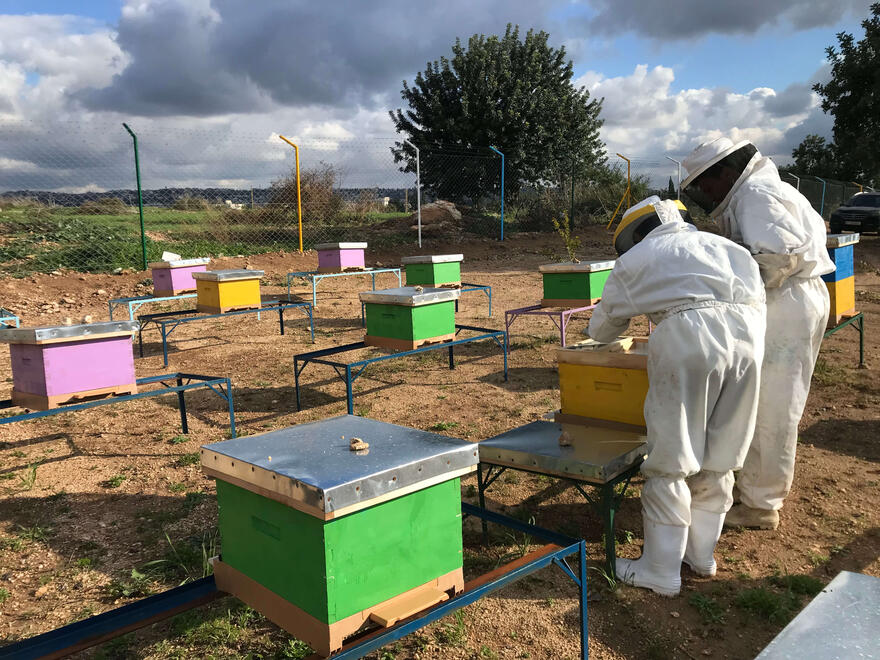 Feeding the bees in anticipation for Spring season.