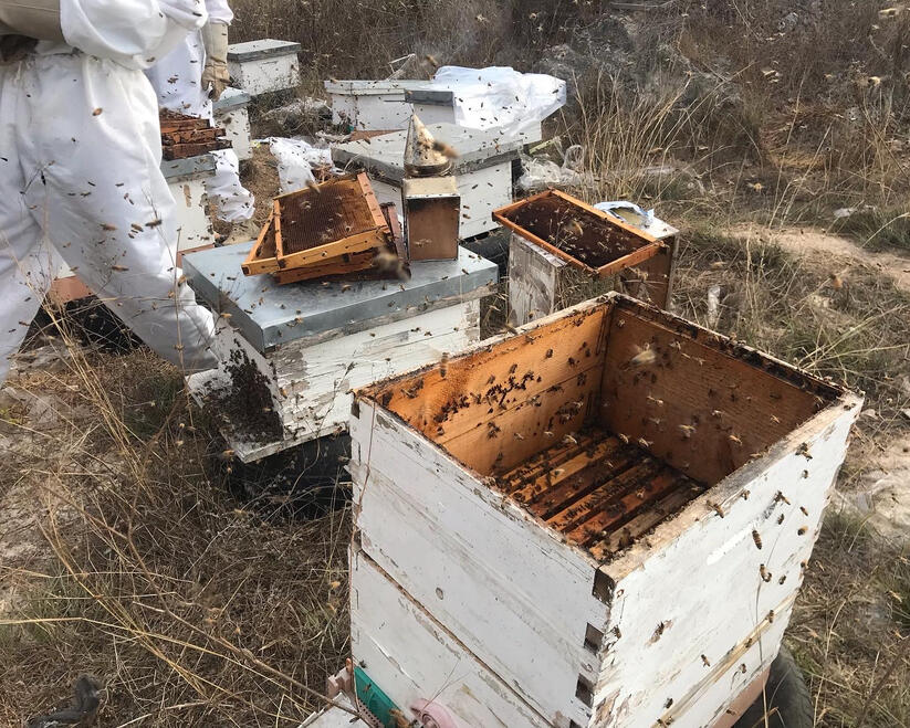 Adding and swapping out frames.