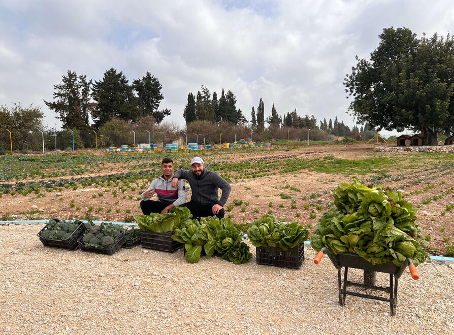Our very first harvest of all-natural and pesticide-free lettuce and broccoli, which was sold in a nearby market.